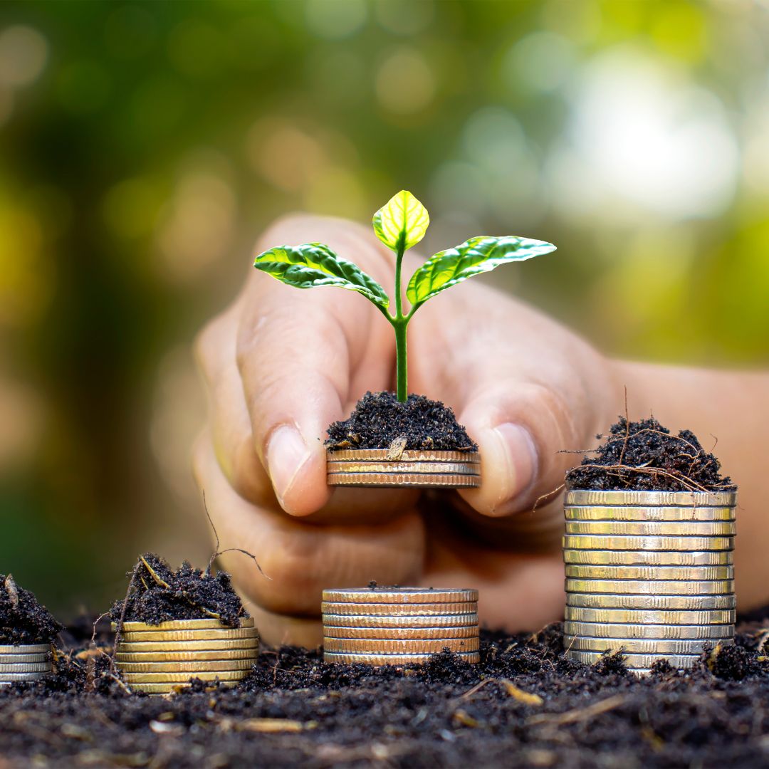 Cómo hacer crecer tus ahorros
